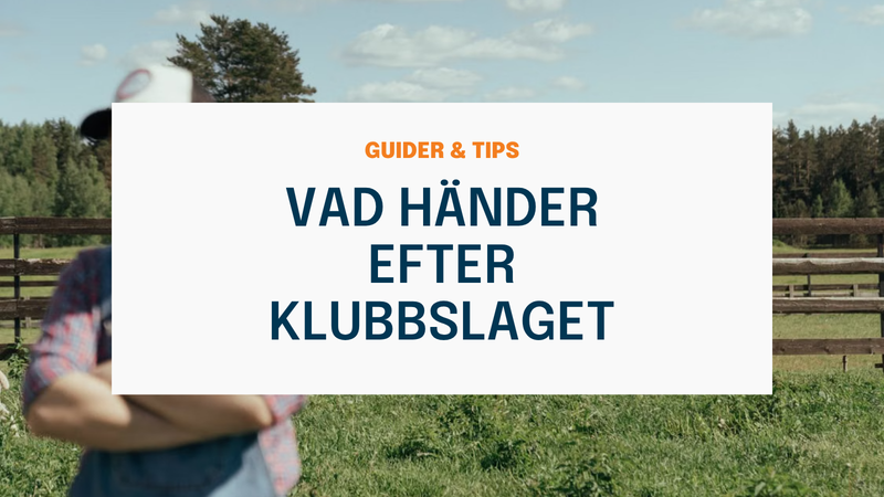 Vad händer efter klubbslaget: Efter auktion