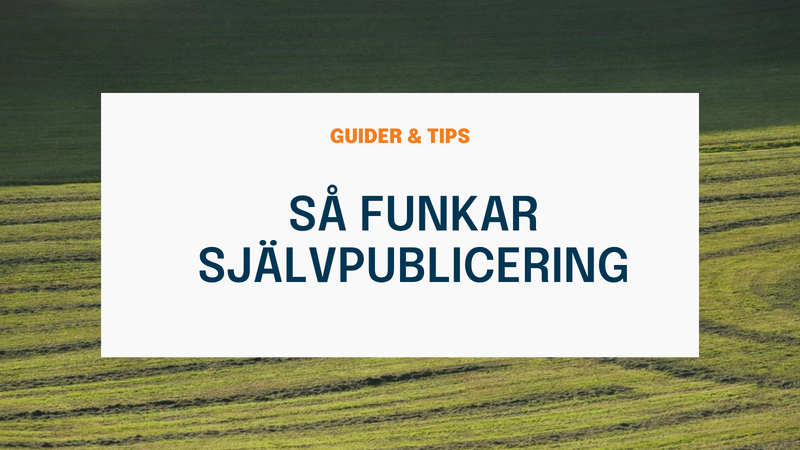 Så funkar självpublicering