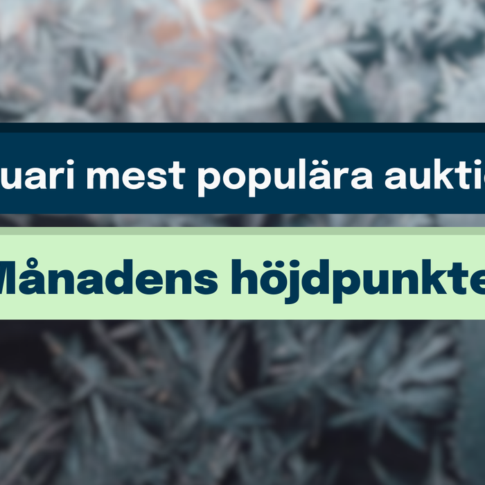 Januari mest populära auktioner