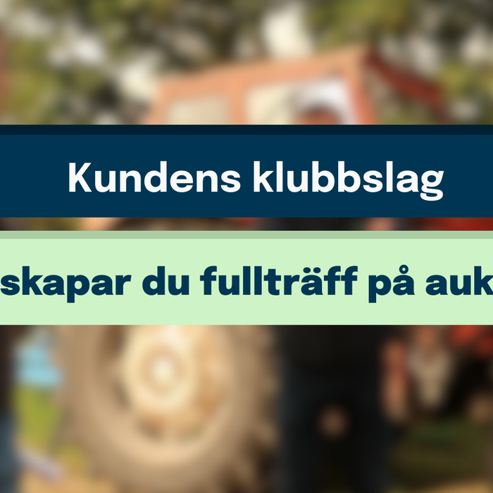Kund case: Fullträff på auktion