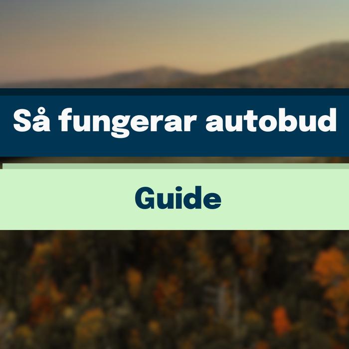 Så funkar autobud