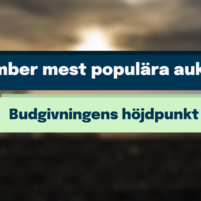 Novembers mest populära auktioner!
