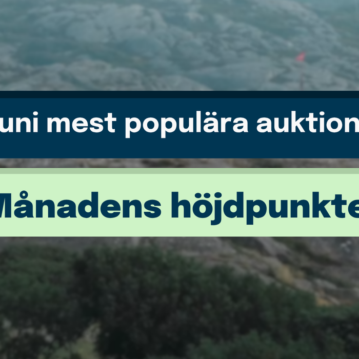 Månadens klubbslag: Juni