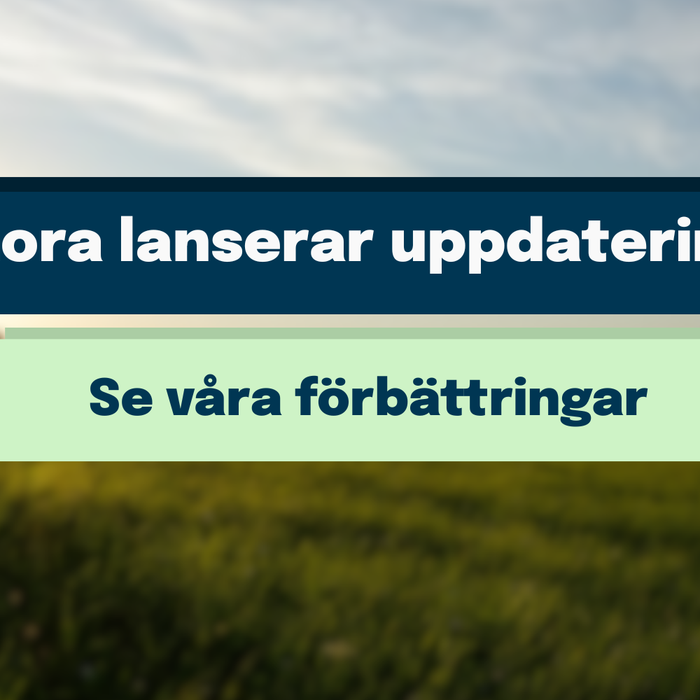 Junora lanserar uppdateringar i sitt auktionssystem!