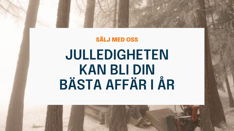 Julledigheten kan bli din bästa affär i år