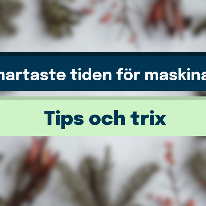 Julledigheten kan bli din bästa affär i år