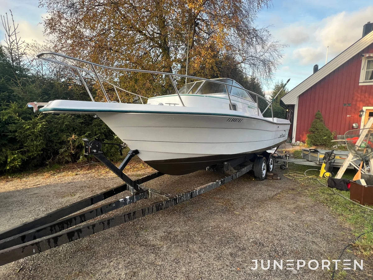 Proline Prosport 22 fot