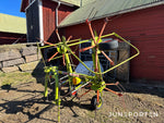 Claas Hövändare 540