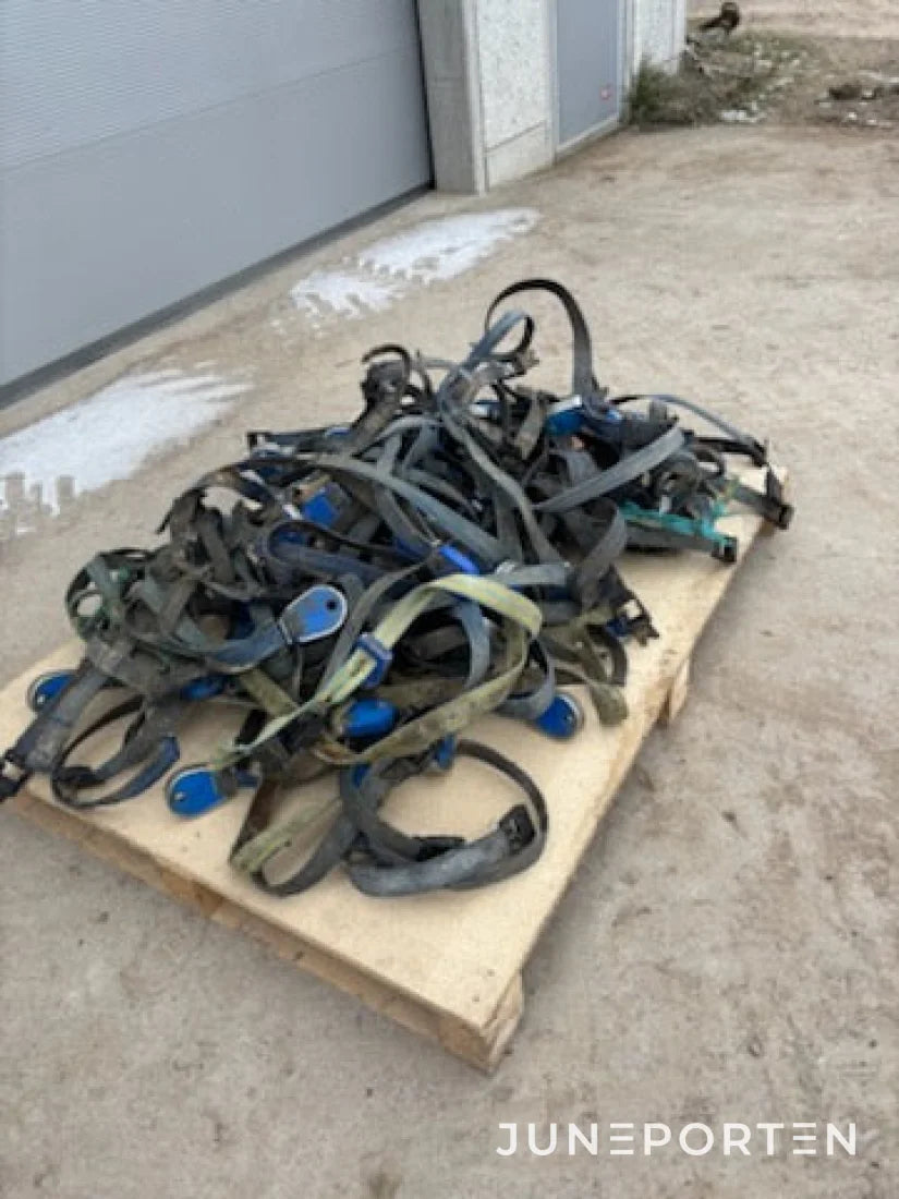 Transpondrar med halsband DeLaval