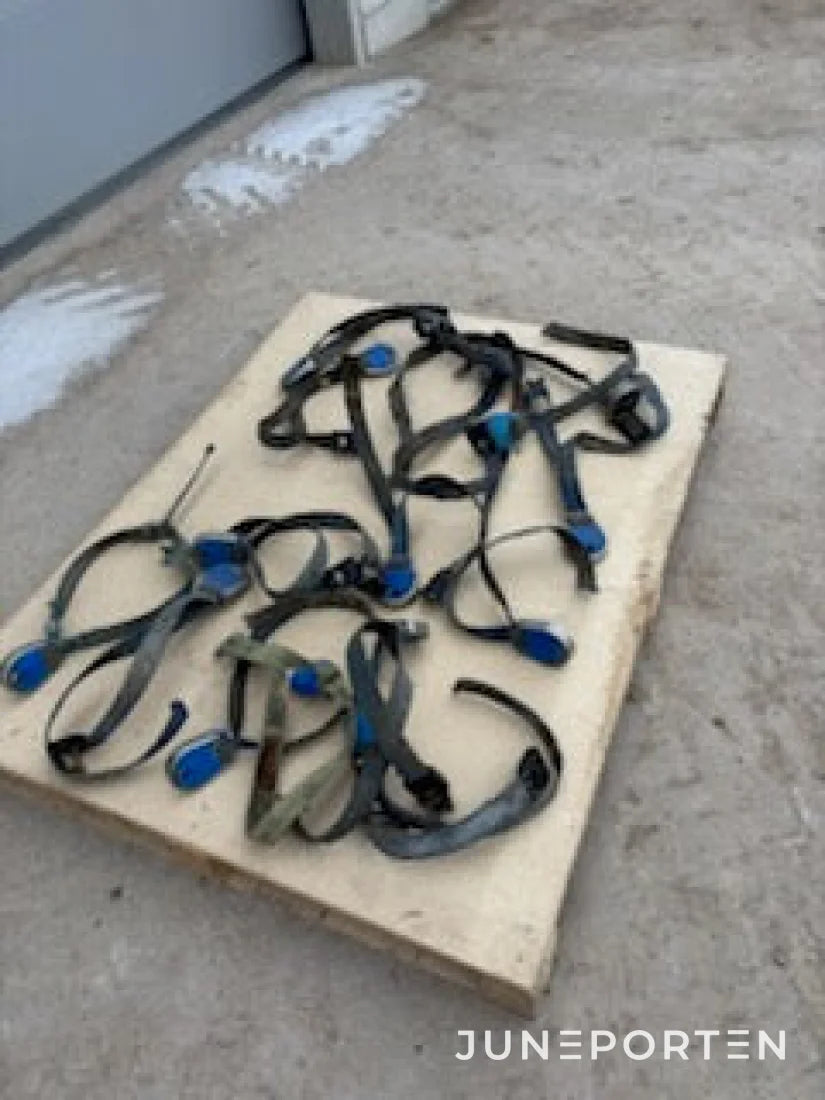 Transpondrar med halsband DeLaval