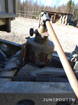 Entreprenadvagn Ifor Williams TB4621-352