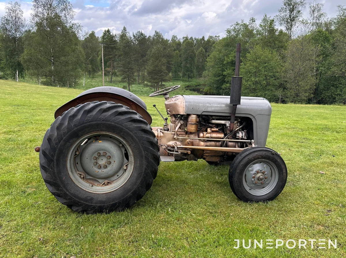 Grålle Ferguson Special FE 35