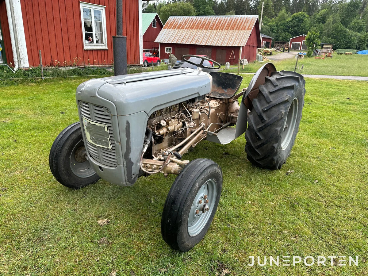 Grålle Ferguson Special FE 35