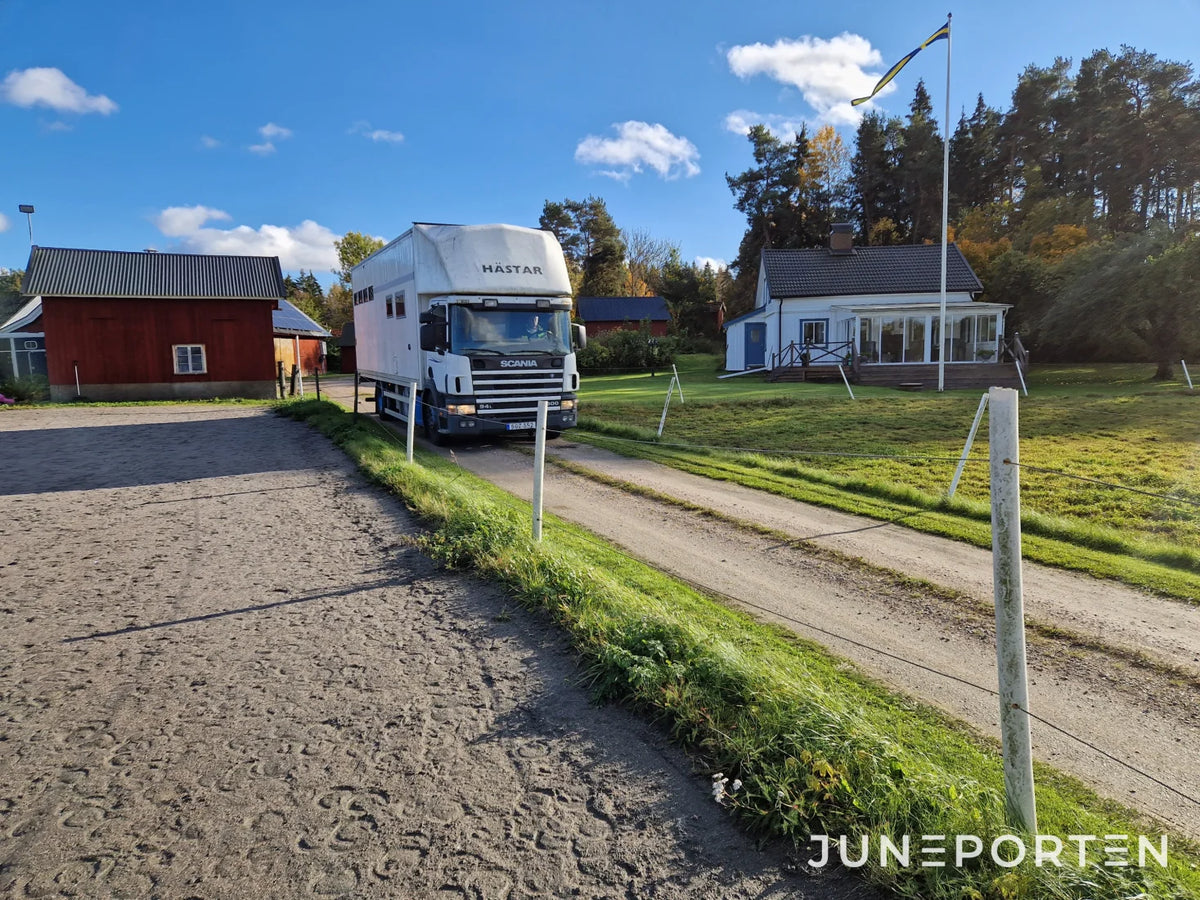Hästlastbil Scania P94LB4X2NB300