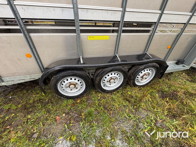 Boskapssläp - Ifor Williams