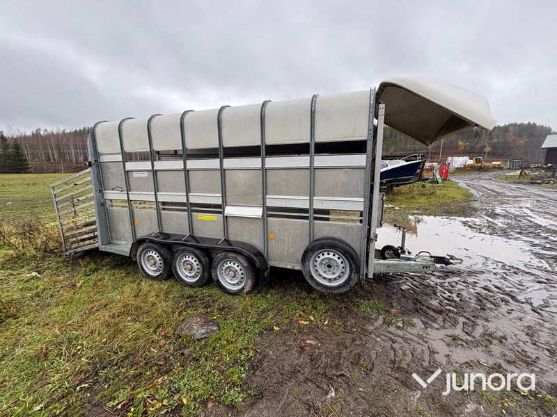 Boskapssläp - Ifor Williams