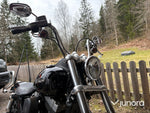 Motorcykel - Harley Davidson, Street bob