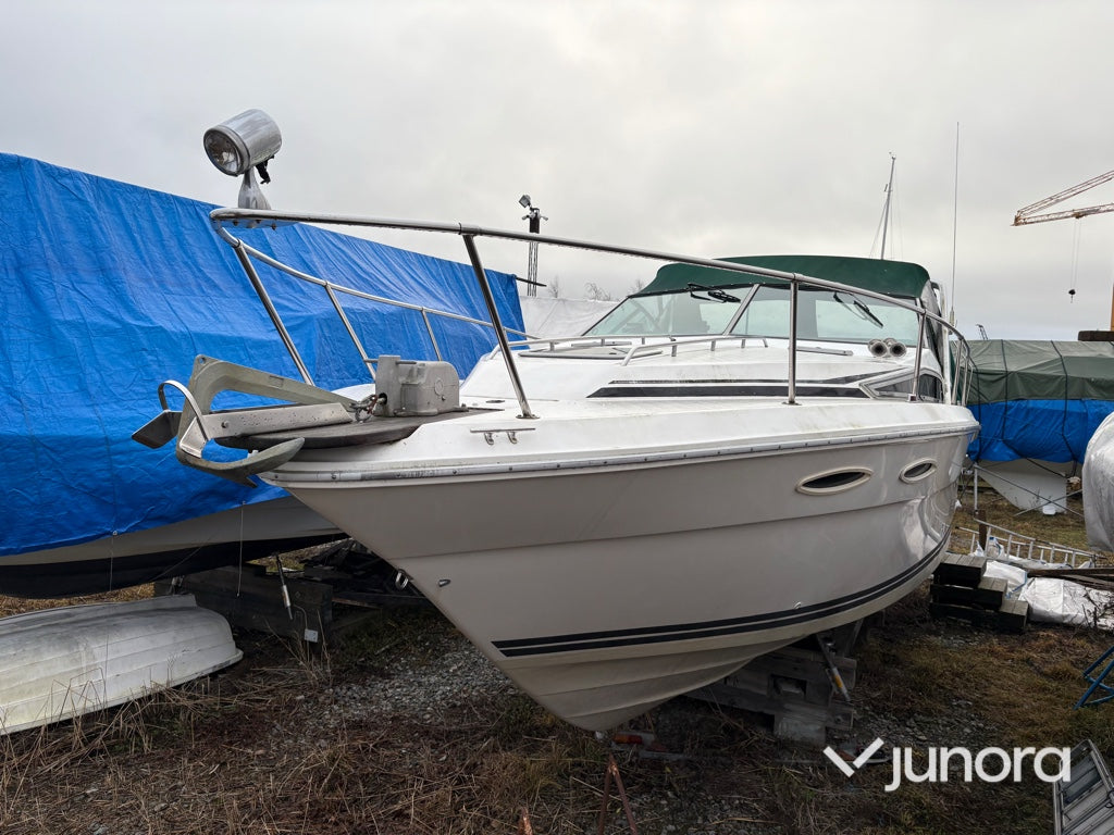 Motorbåt - Sea Ray, 300 Weekender, MerCruiser