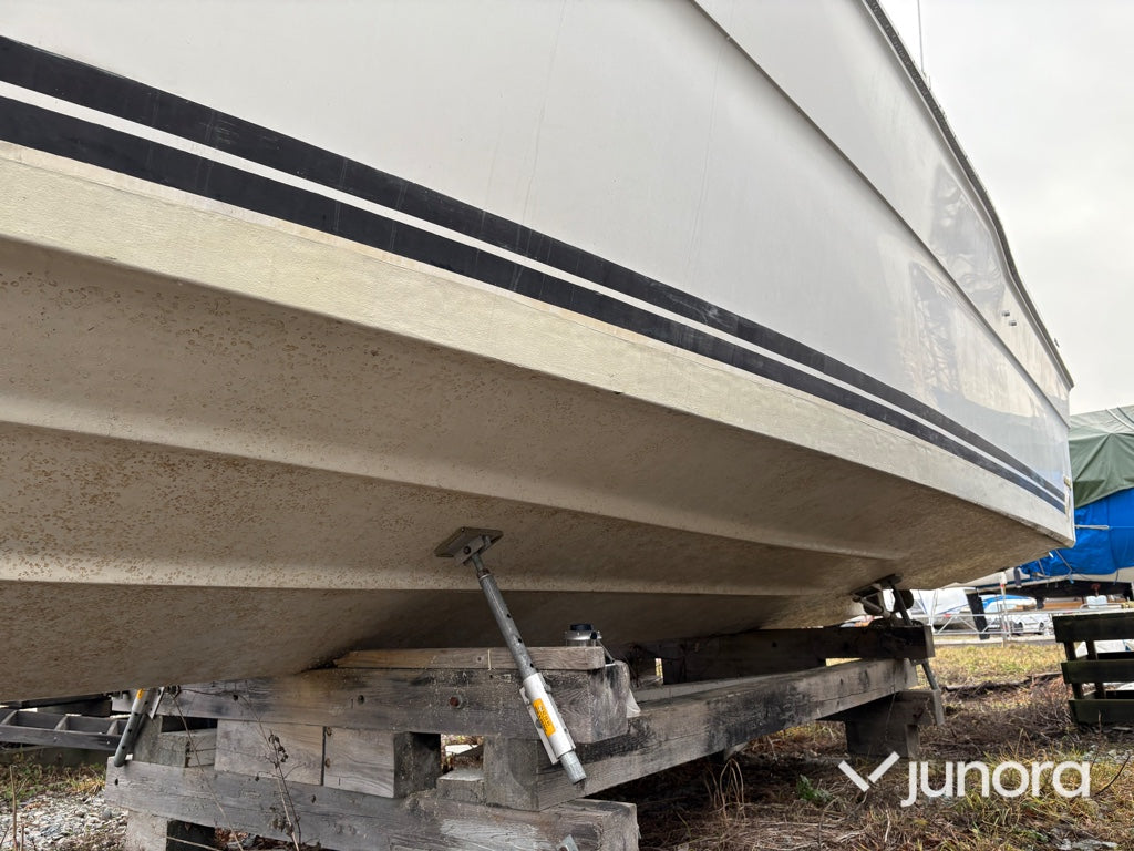 Motorbåt - Sea Ray, 300 Weekender, MerCruiser