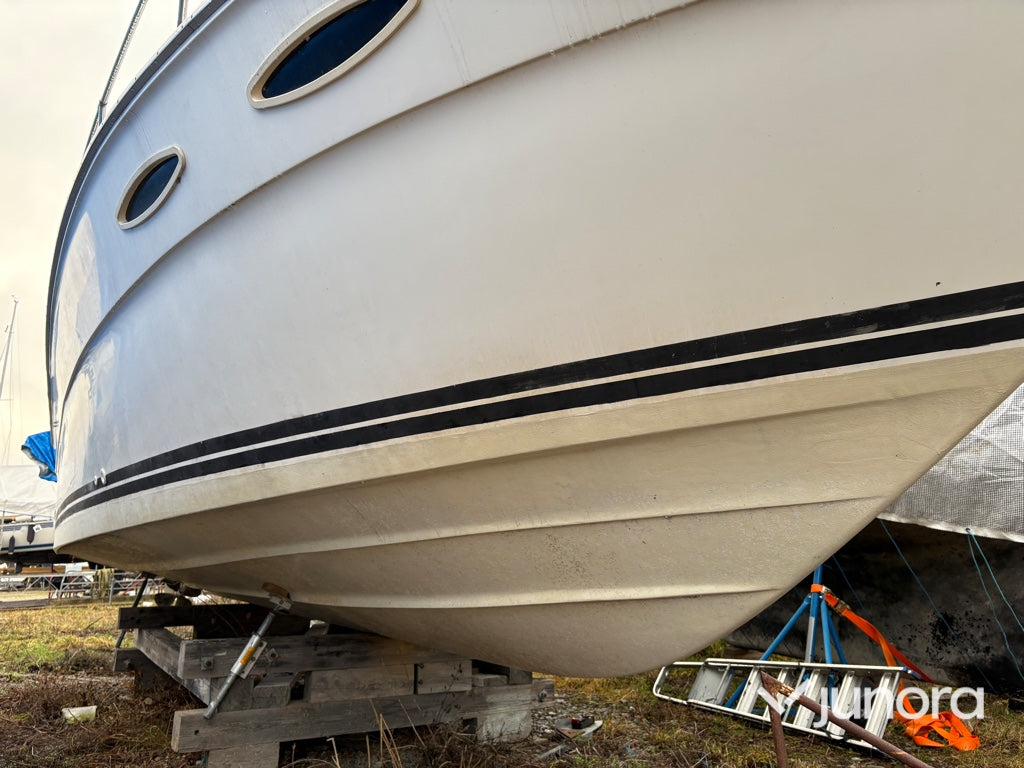 Motorbåt - Sea Ray, 300 Weekender, MerCruiser