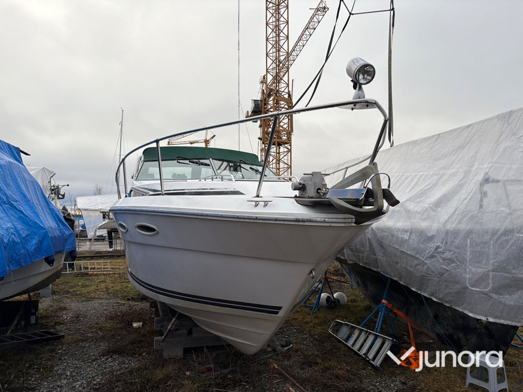 Motorbåt - Sea Ray, 300 Weekender, MerCruiser