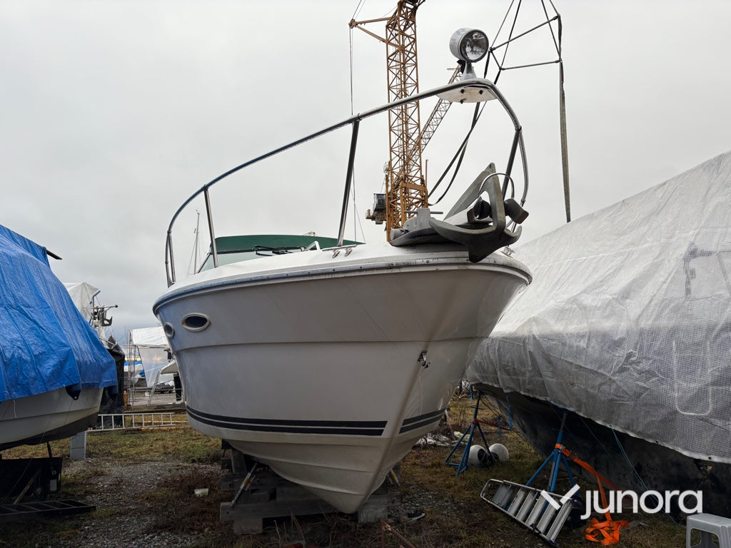 Motorbåt - Sea Ray, 300 Weekender, MerCruiser