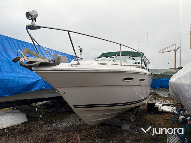 Motorbåt - Sea Ray, 300 Weekender, MerCruiser