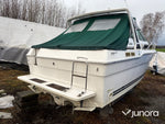 Motorbåt - Sea Ray, 300 Weekender, MerCruiser