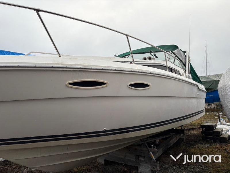 Motorbåt - Sea Ray, 300 Weekender, MerCruiser