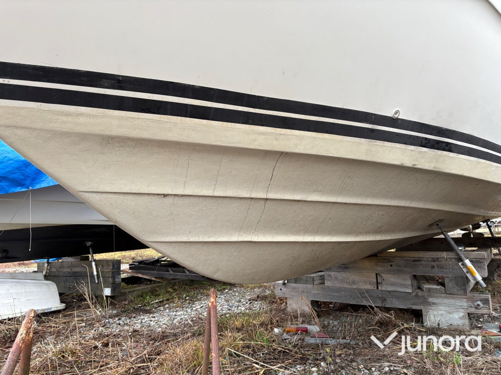 Motorbåt - Sea Ray, 300 Weekender, MerCruiser