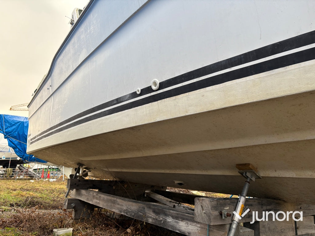 Motorbåt - Sea Ray, 300 Weekender, MerCruiser