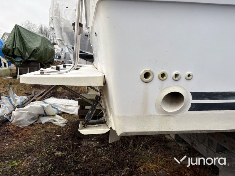 Motorbåt - Sea Ray, 300 Weekender, MerCruiser