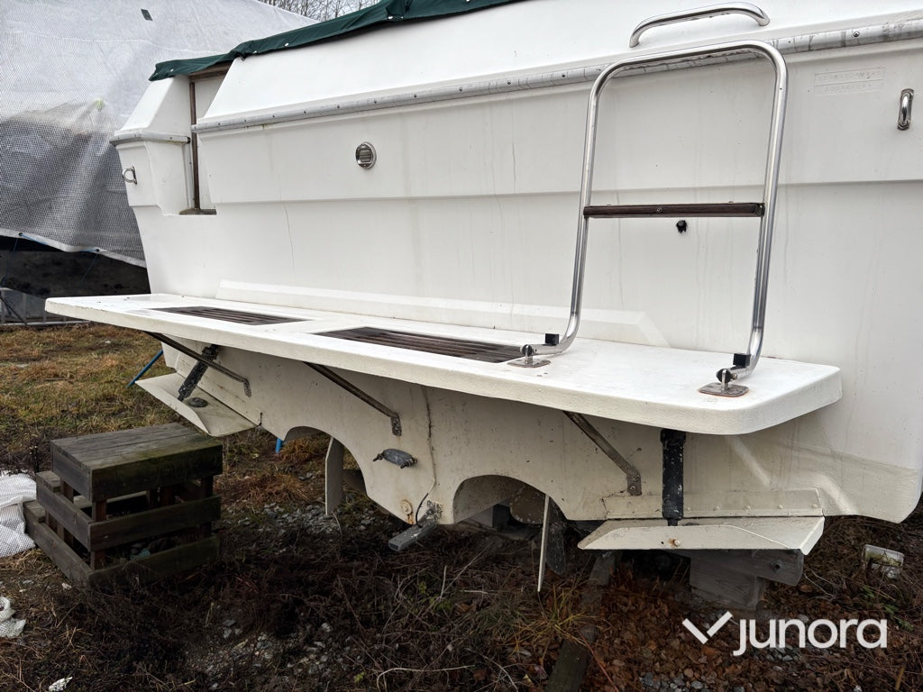 Motorbåt - Sea Ray, 300 Weekender, MerCruiser