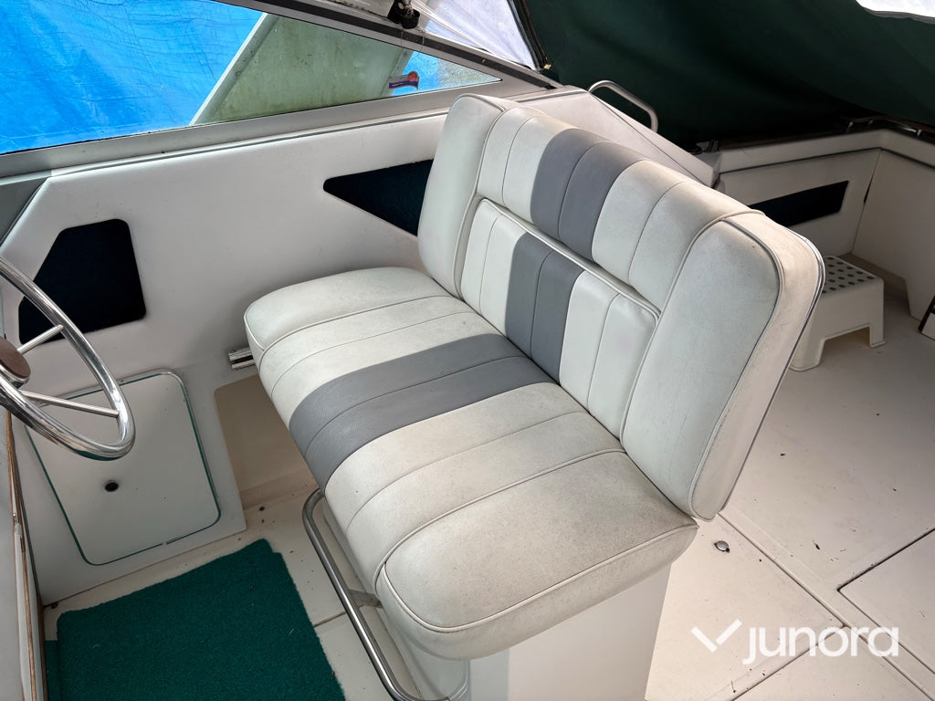 Motorbåt - Sea Ray, 300 Weekender, MerCruiser