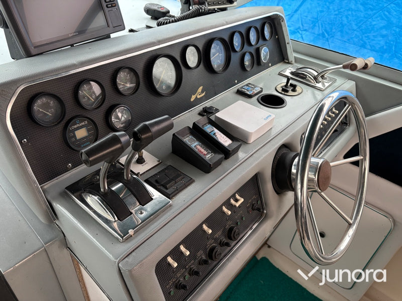 Motorbåt - Sea Ray, 300 Weekender, MerCruiser