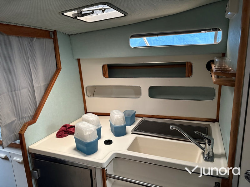 Motorbåt - Sea Ray, 300 Weekender, MerCruiser