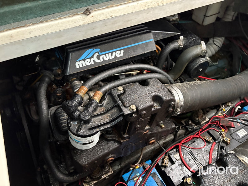 Motorbåt - Sea Ray, 300 Weekender, MerCruiser