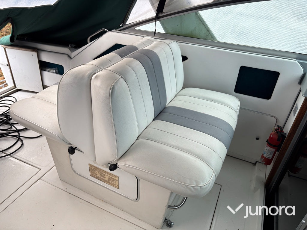 Motorbåt - Sea Ray, 300 Weekender, MerCruiser