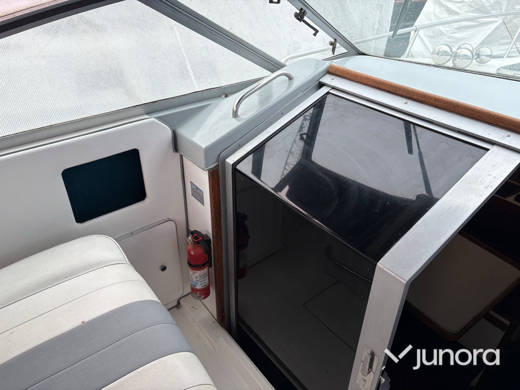 Motorbåt - Sea Ray, 300 Weekender, MerCruiser
