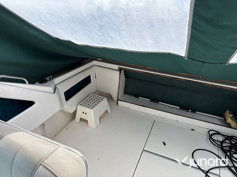 Motorbåt - Sea Ray, 300 Weekender, MerCruiser