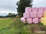 Hösilage
