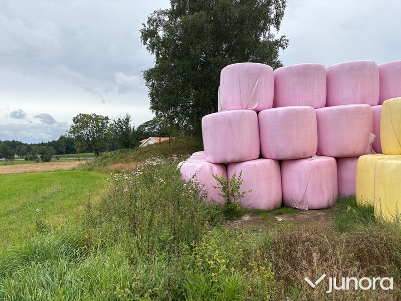 Hösilage