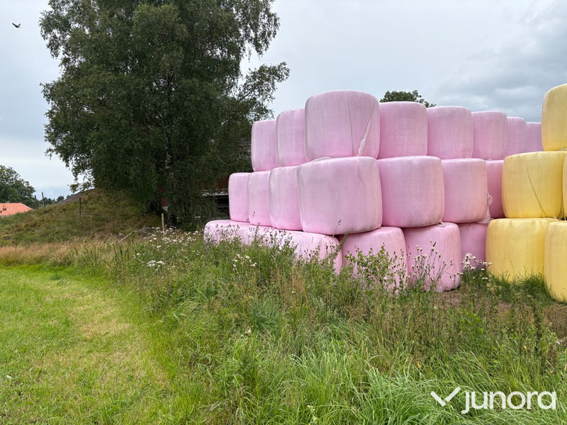 Hösilage