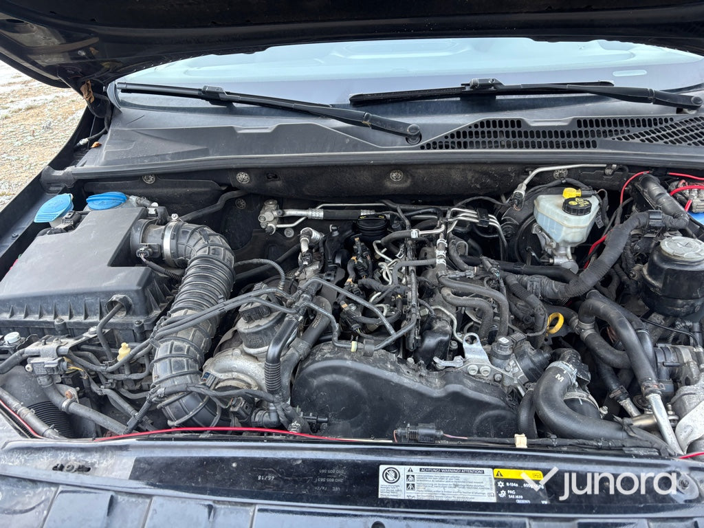 Pickup - Volkswagen, Amarok