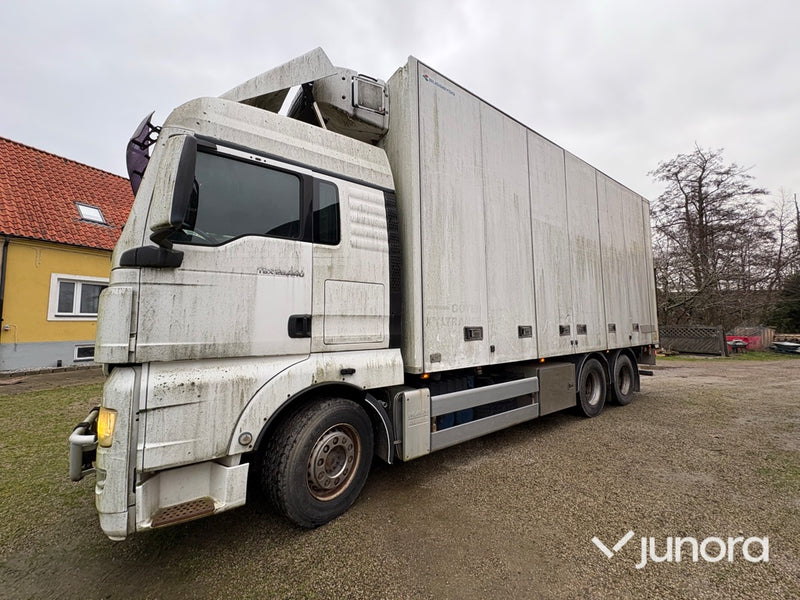 Lastbil, kyl och frys - MAN