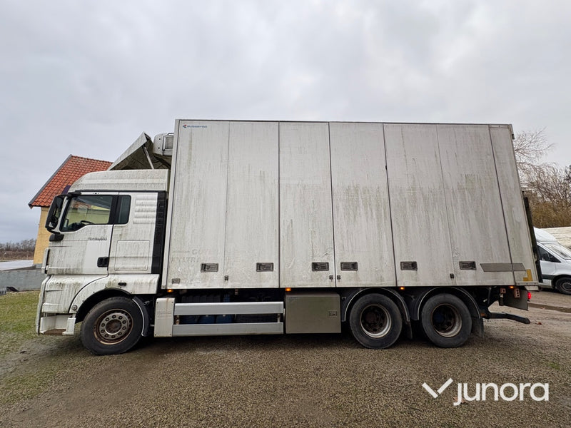 Lastbil, kyl och frys - MAN