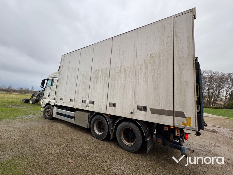 Lastbil, kyl och frys - MAN