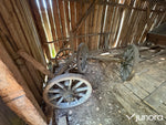 Vagn/Hästvagn