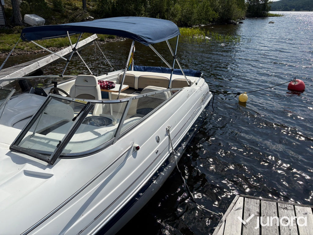 Daycruiser Glastron 229 GS