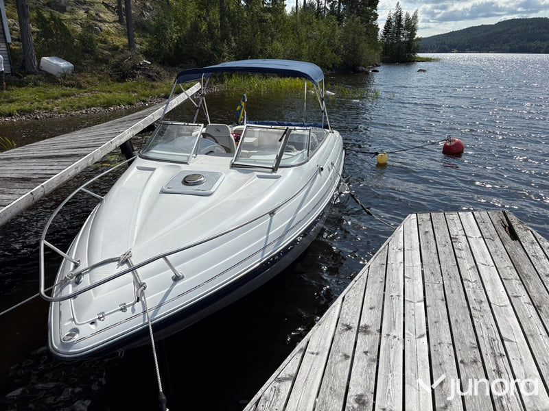 Daycruiser Glastron 229 GS